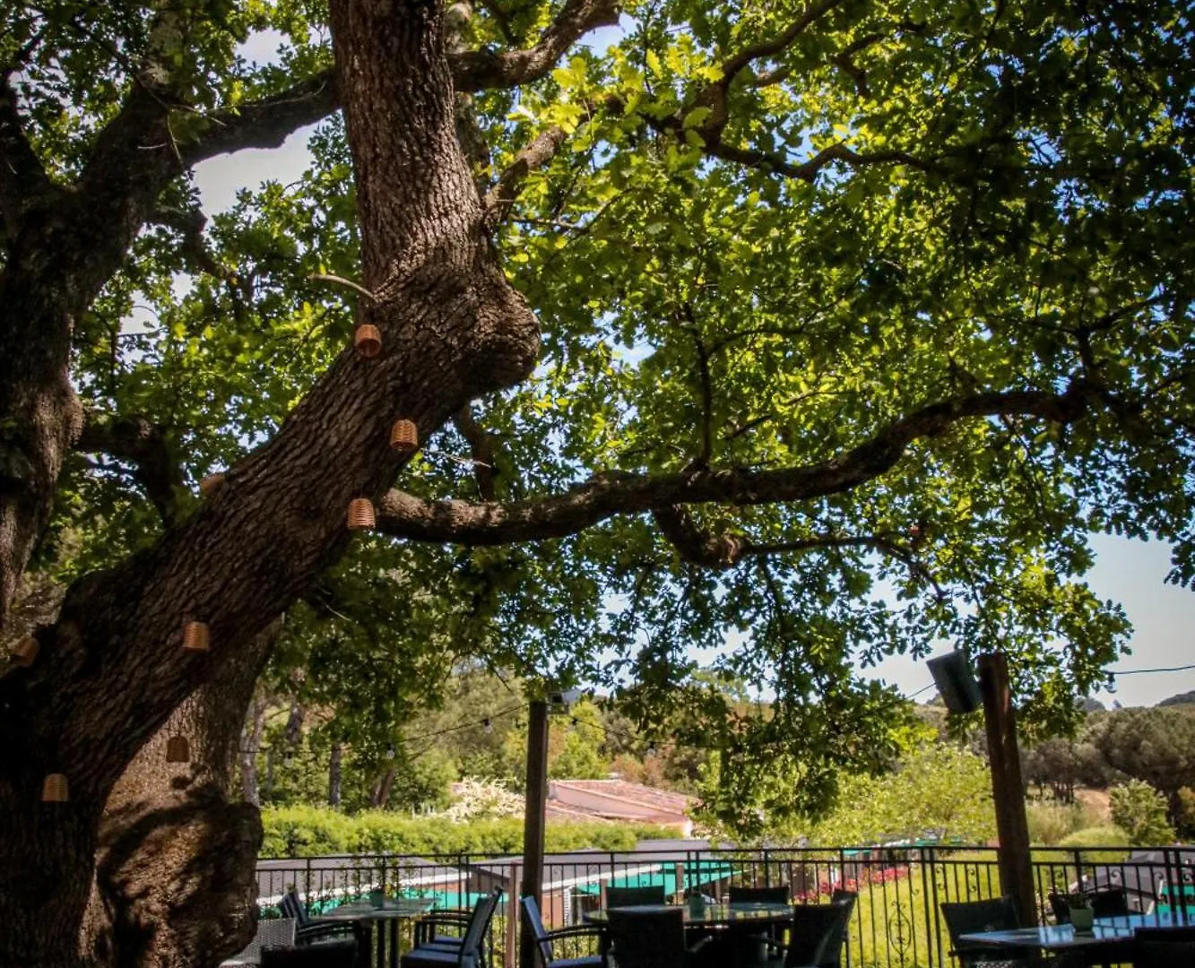 Domaine De Verdagne Gassin Campsite