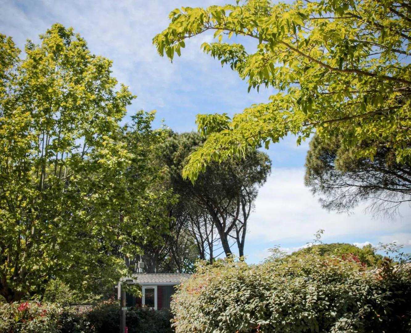 Domaine De Verdagne Gassin Campsite