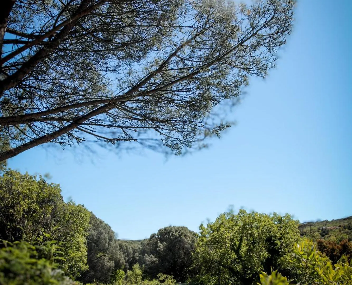 **** Campsite Domaine De Verdagne Gassin France